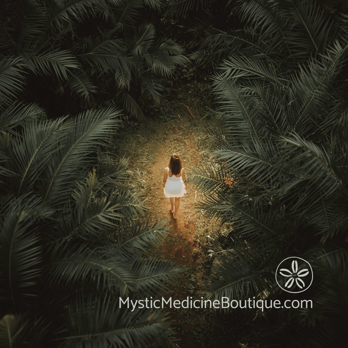 Overhead view of woman in white dress walking a glowing path through dense dark tropical palm foliage, representing empath environmental shielding and protected movement through overwhelming spaces