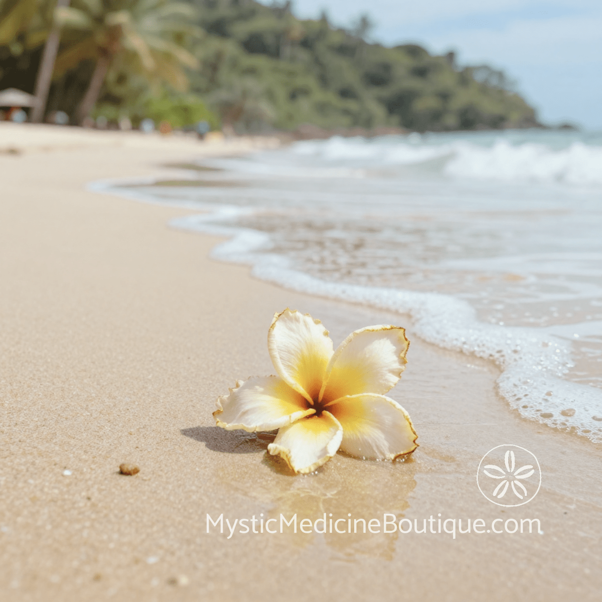 Plumeria flower on tropical beach representing the tenderness of grief plus health crisis when loss and mortality arrive together
