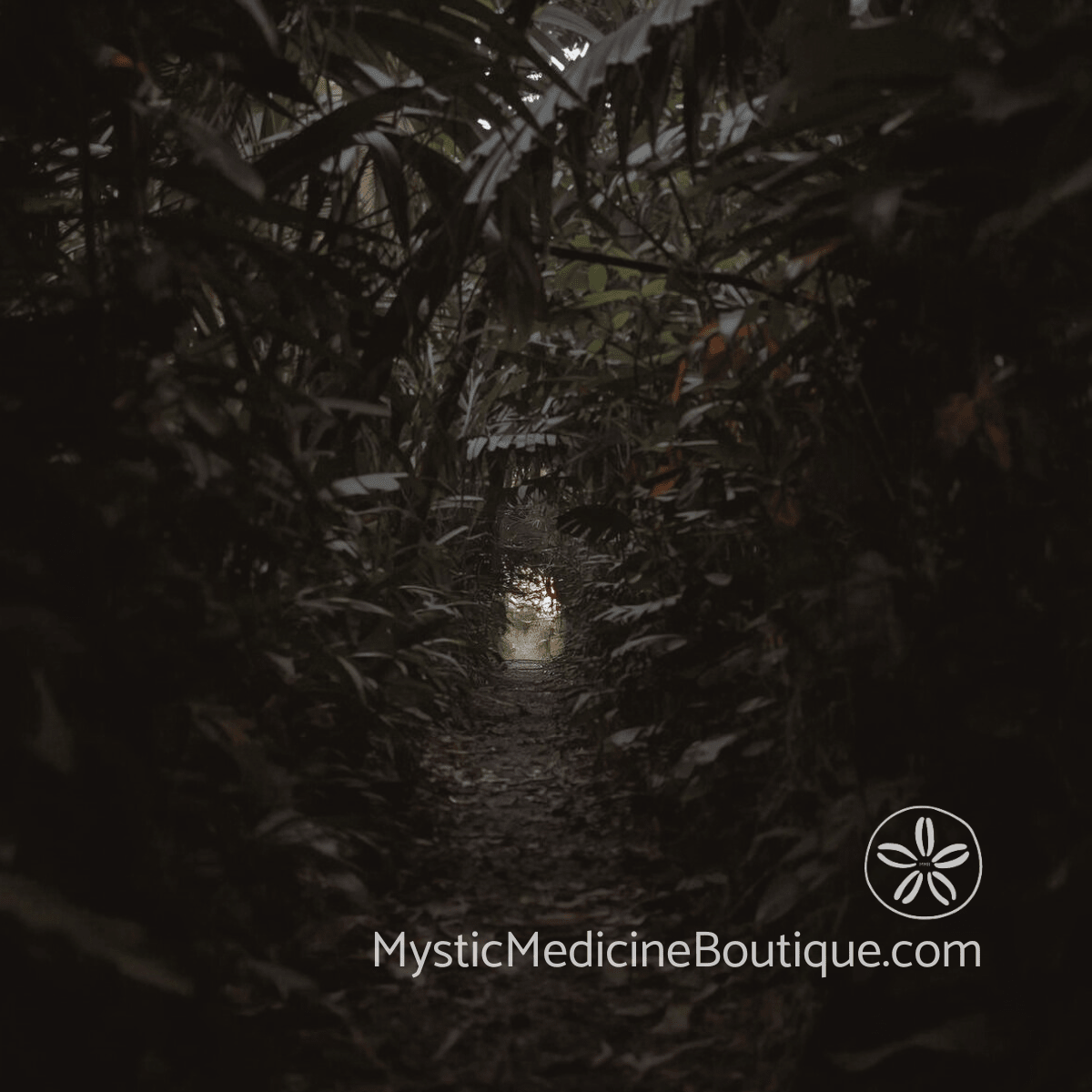 Dark narrow path through dense tropical jungle foliage with a single point of warm light visible at the end, representing the Dark Night of the Soul as a spiritual passage with an exit