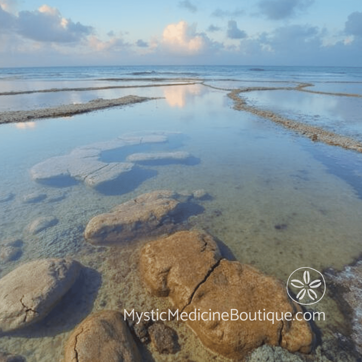 Rocky tidal flat with calm reflective water representing the grounded footing available during spiritual emergency after extended unemployment