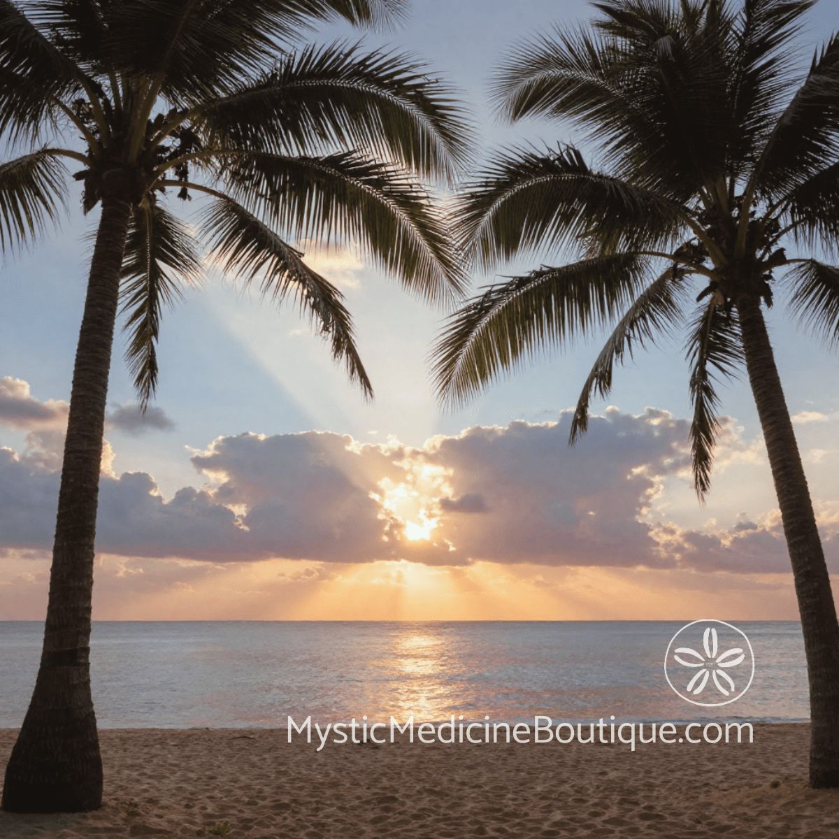 Tropical palm trees at sunset over calm ocean — peaceful distance Reiki imagery for spiritual emergency support and remote energy healing
