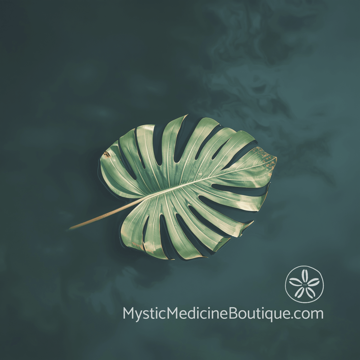 Single monstera leaf floating on dark teal water with clearly defined edges, representing the gentle clarity of empath boundary-setting without guilt