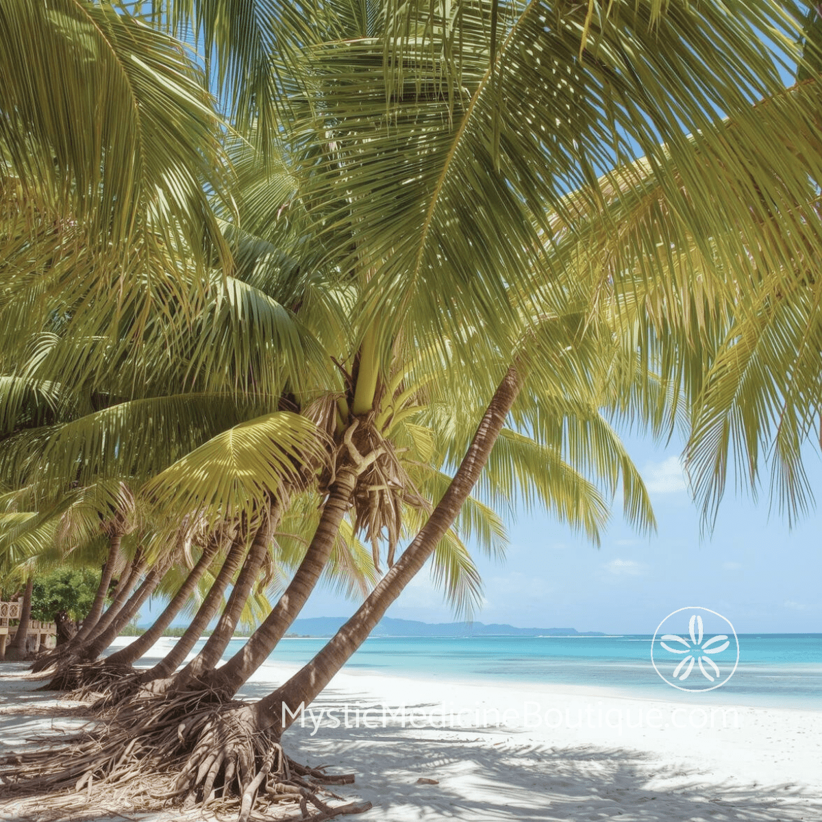 Palm trees on tropical beach representing the RN and Reiki Master perspective on identity theft spiritual emergency