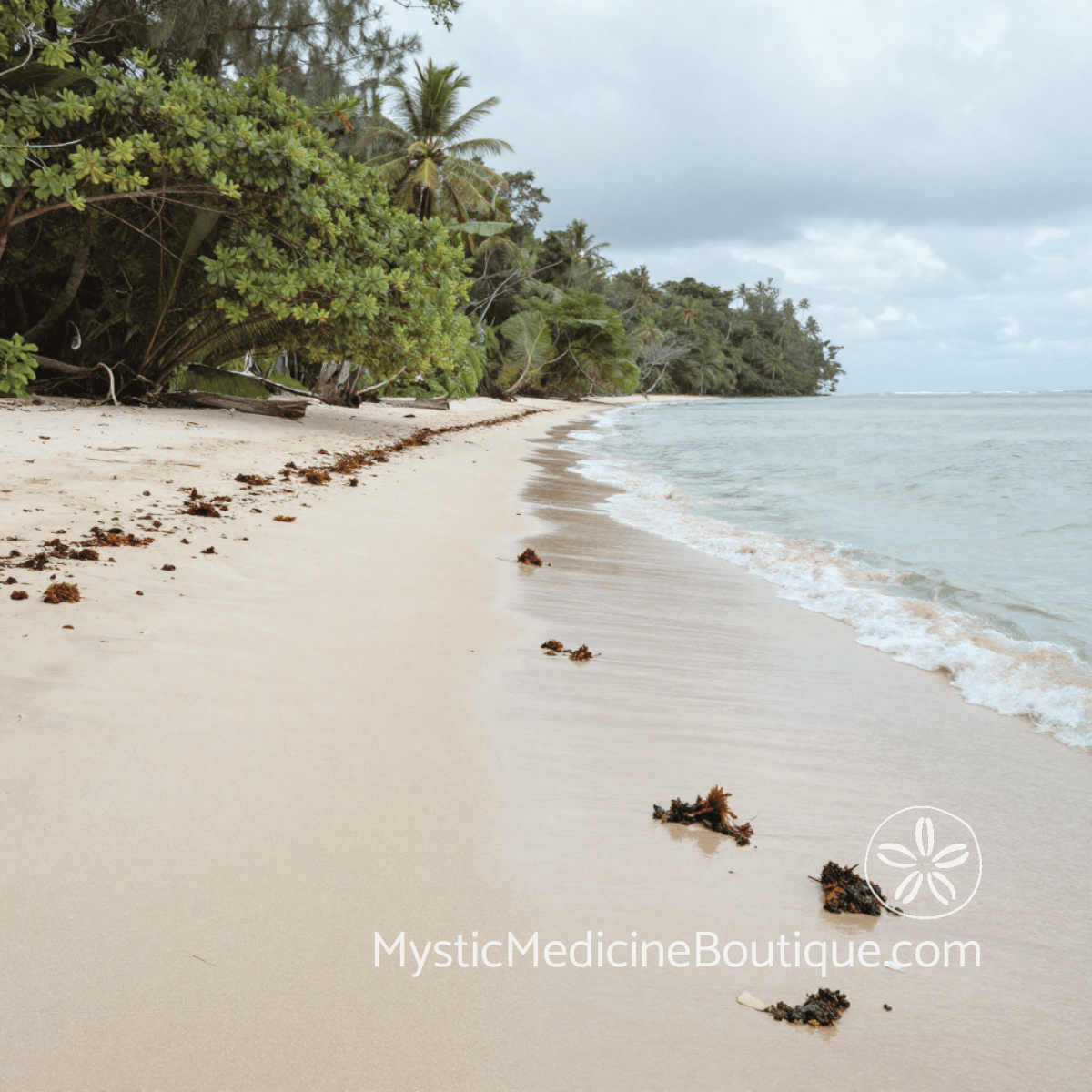 Tropical beach with clear water — long-term healing after energy vampires RN Reiki Master explains