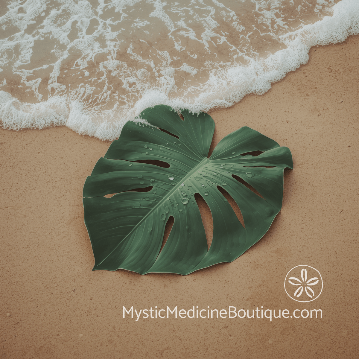 Large tropical monstera leaf with water droplets resting on wet sand at ocean's edge representing quiet ways financial stress undermines spiritual peace