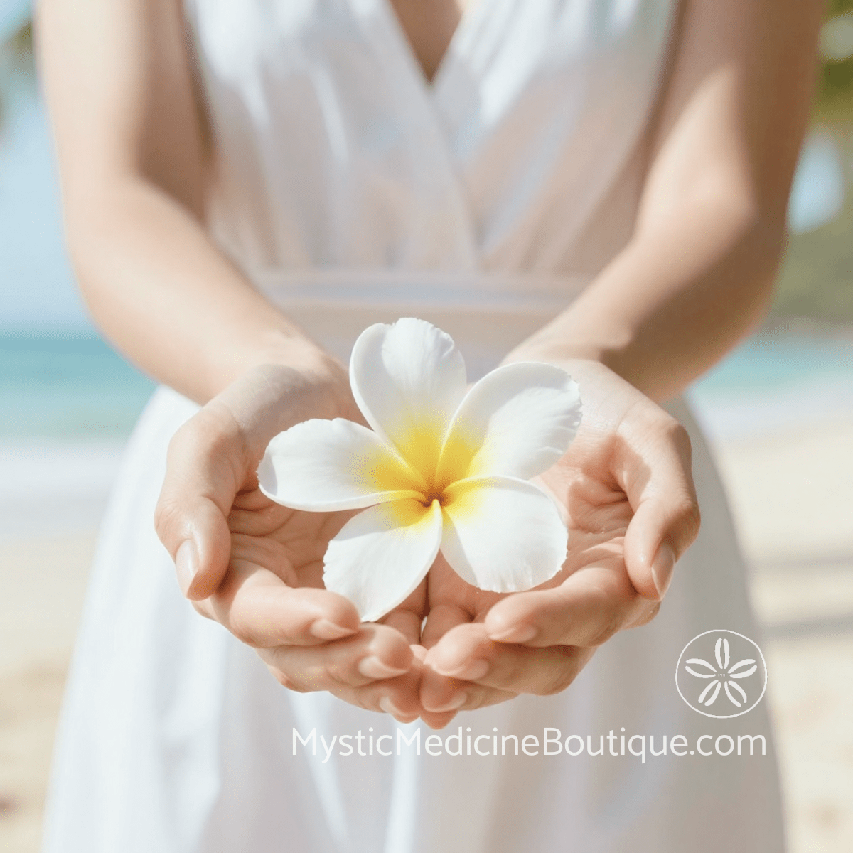 Woman in white dress cupping a plumeria flower in both hands on a beach representing the self-healing practice of Reiki self-treatment