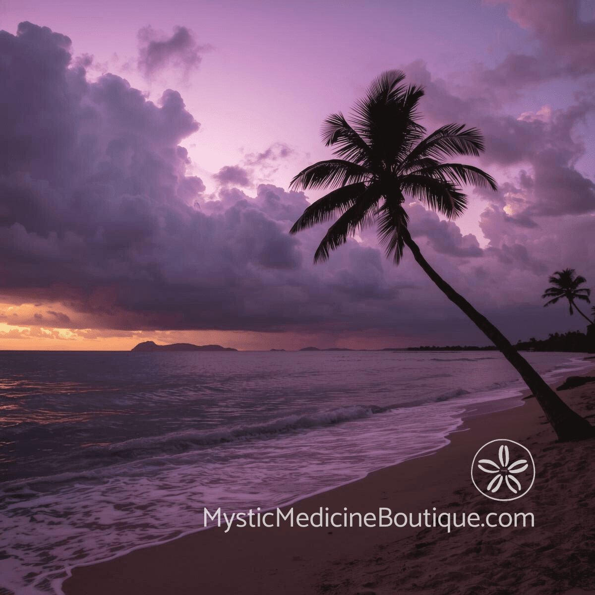 Dramatic purple tropical beach at dusk with silhouetted palms representing shadow work and the darkness revealed during grief