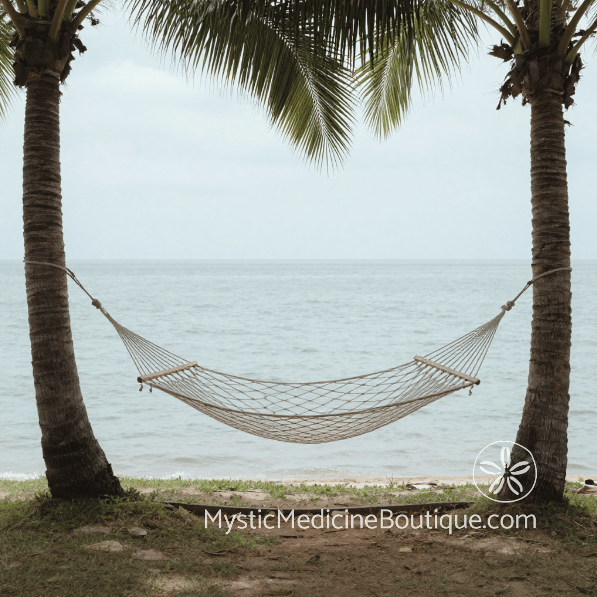 Empty hammock between palm trees on tropical beach representing spiritual burnout symptoms in body and mind — Mystic Medicine Boutique