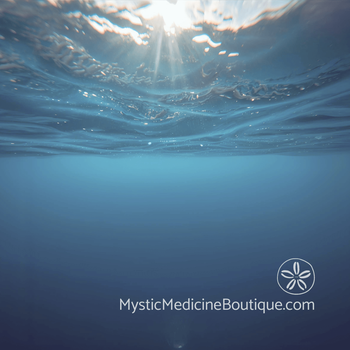 Underwater view looking toward light breaking the surface representing identity reconstruction after spiritual teacher betrayal collapse