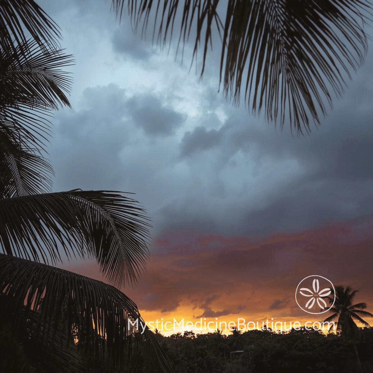 Stormy tropical sky with dramatic storm clouds and golden sunset light breaking through palm tree silhouettes, representing faith crisis warning signs and the Dark Night of the Soul spiritual passage