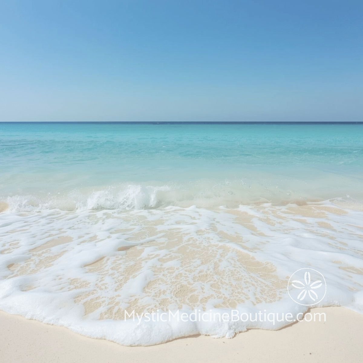 Calm tropical shoreline with gentle wave representing energy clearing for sensitive people and releasing absorbed emotions from the nervous system