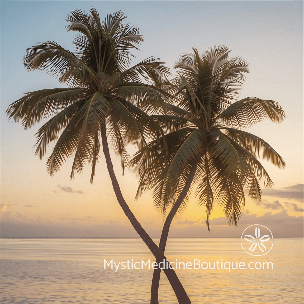 Twin palms silhouetted at golden sunset representing the soul recognition and identity transformation of soulmate twin flame spiritual emergency