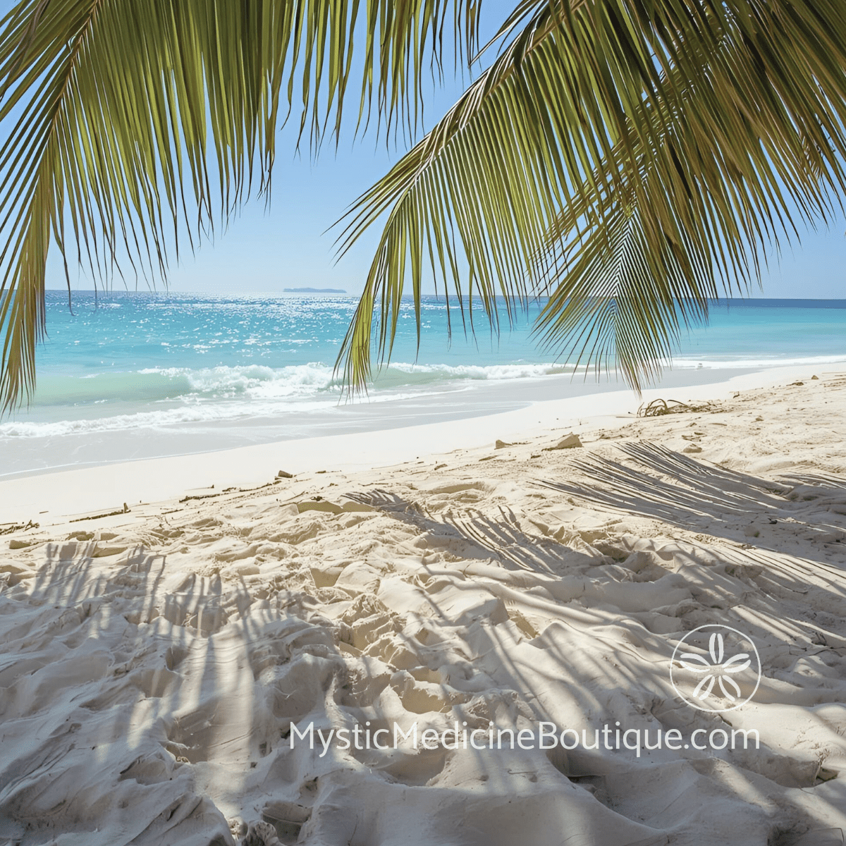 Tropical beach with palm fronds and turquoise water representing the grounding sanctuary needed during career promotion spiritual emergency first aid