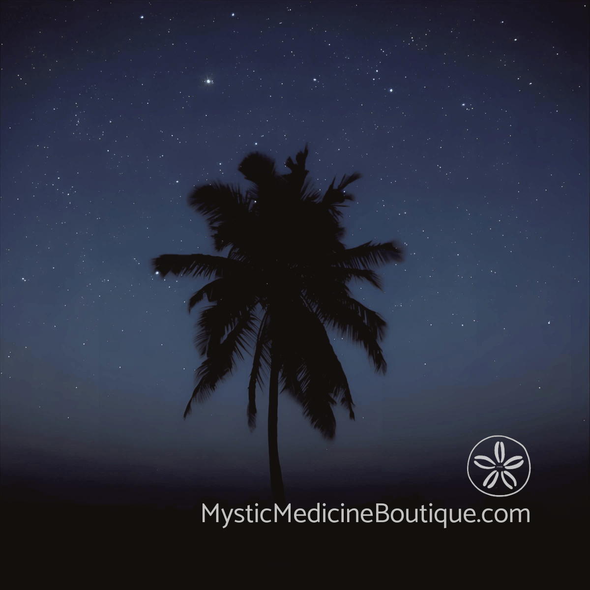 Palm tree silhouette against starry night sky representing child loss dark night of the soul and the complete spiritual void of devastating grief