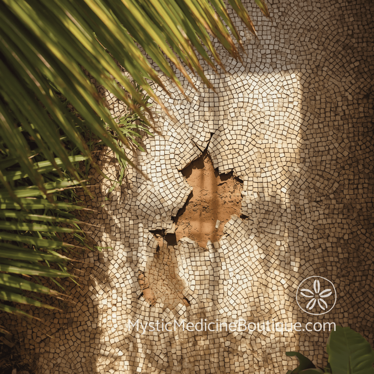 Cracked mosaic floor with palm frond shadow representing how money problems quietly destroy spiritual foundation from beneath the surface