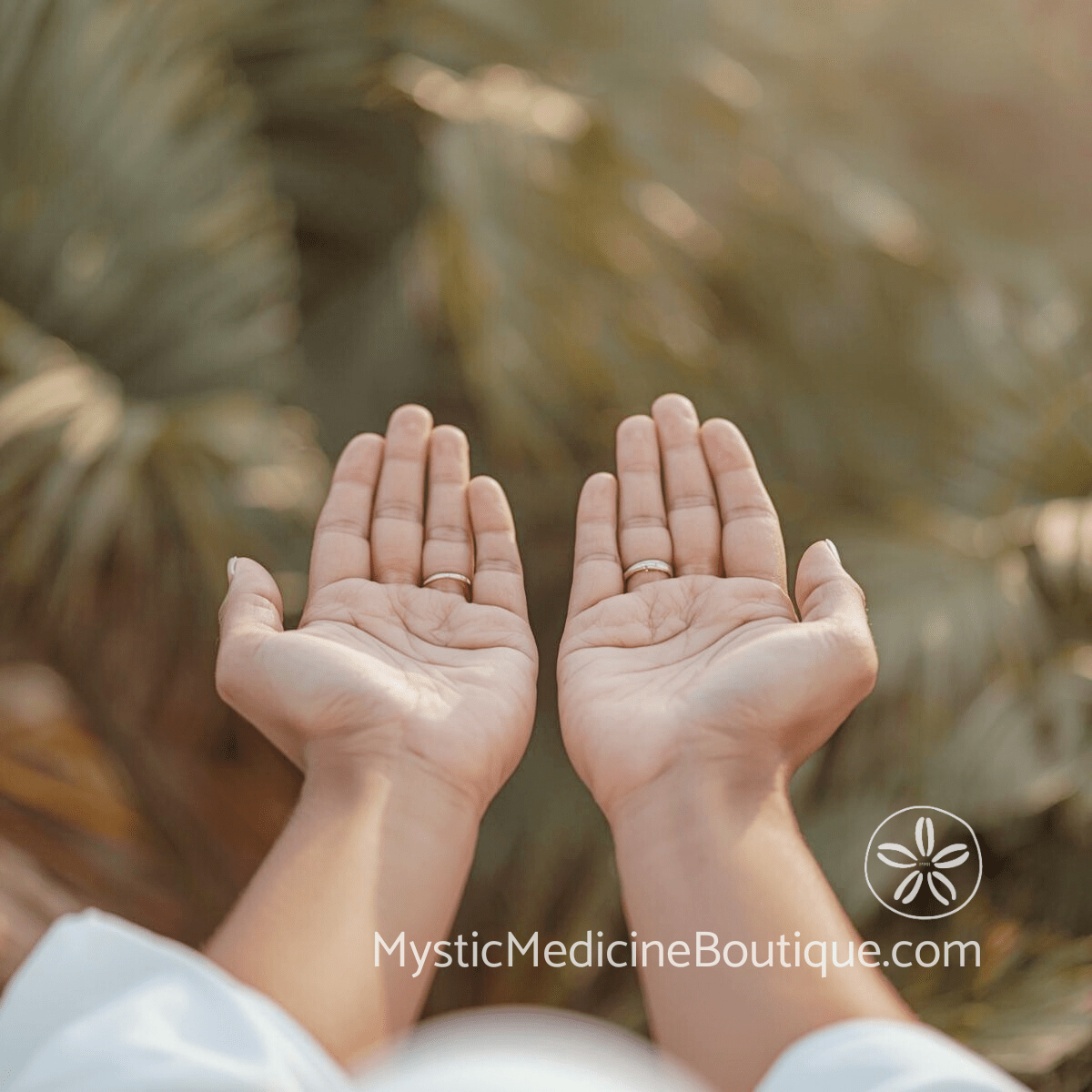 Open empty hands raised in prayer position outdoors with blurred tropical palm fronds in background, representing when prayer stops working during faith crisis
