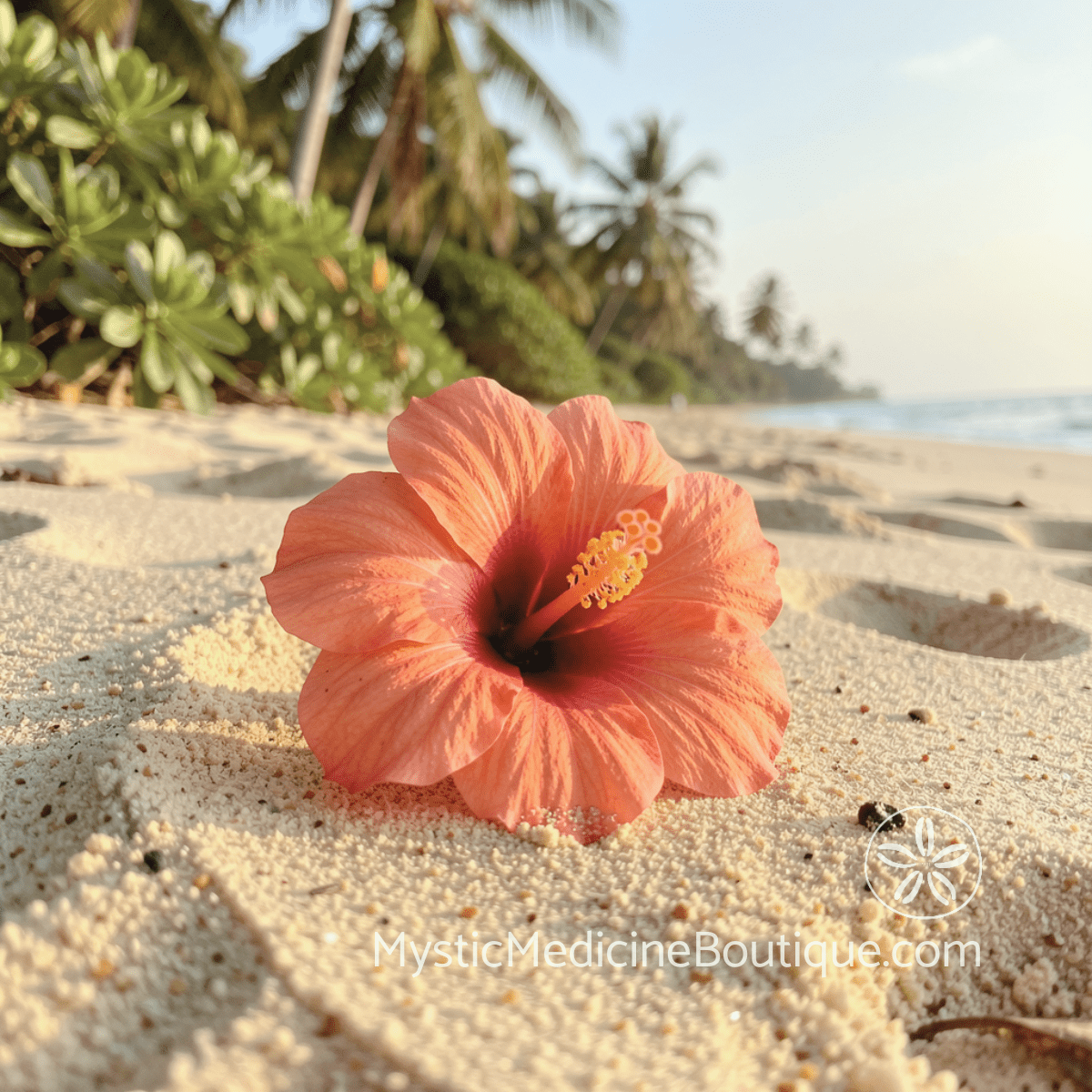 Pink hibiscus on beach sand representing rejection sensitivity spiritual emergency and the abandonment wound that will not heal