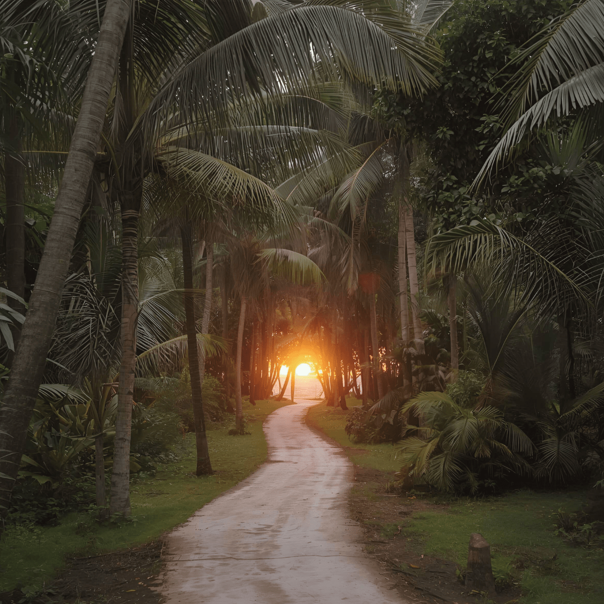 When sudden bereavement triggers dark night of the soul — winding path through dark tropical palm forest with warm golden light at the end representing the journey through spiritual emergency and existential collapse after sudden parent death