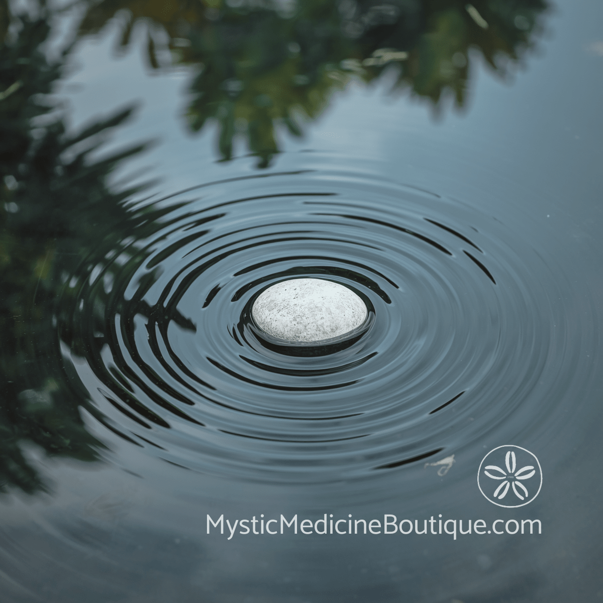 Smooth white stone resting on still dark water with tropical greenery reflected on surface, representing intentional pause during shadow work in serious illness or acute grief