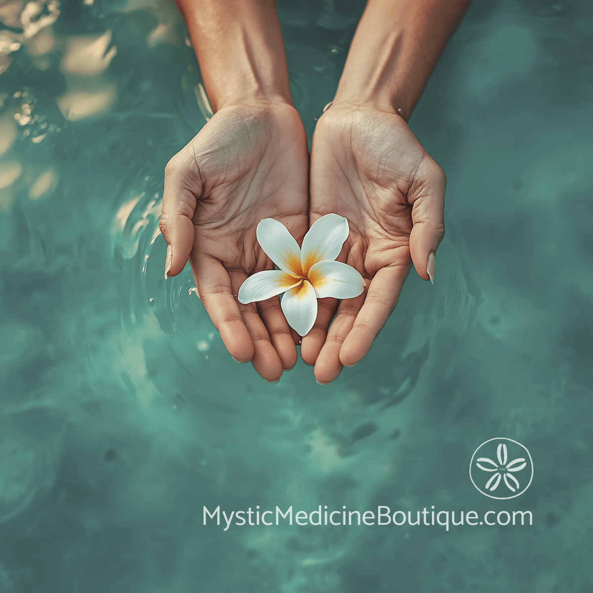 Hands holding white plumeria blossom over teal water representing releasing forced positivity when staying positive during financial ruin feels harmful