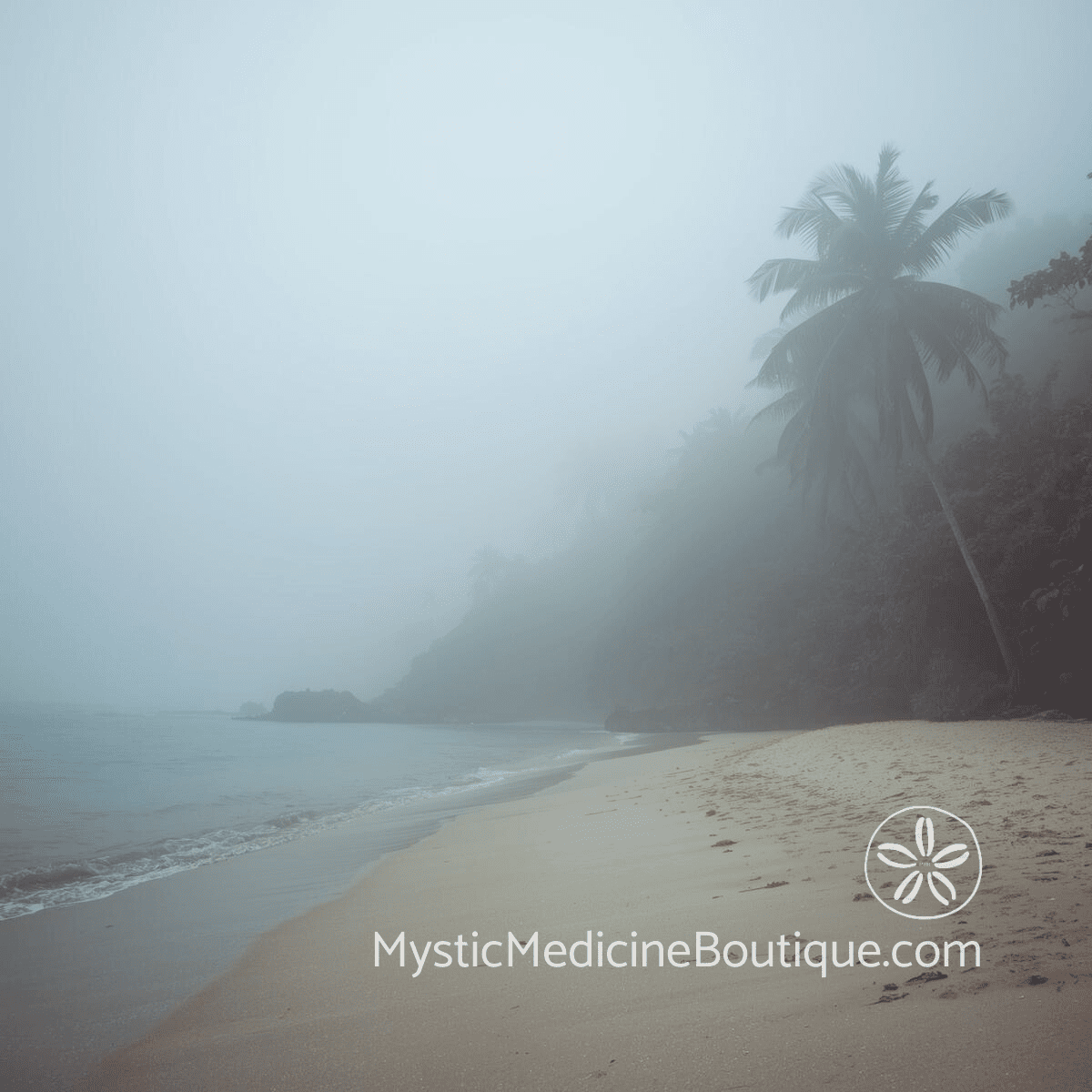 Misty foggy beach with palm trees representing the disorientation of betrayal denial and gaslighting