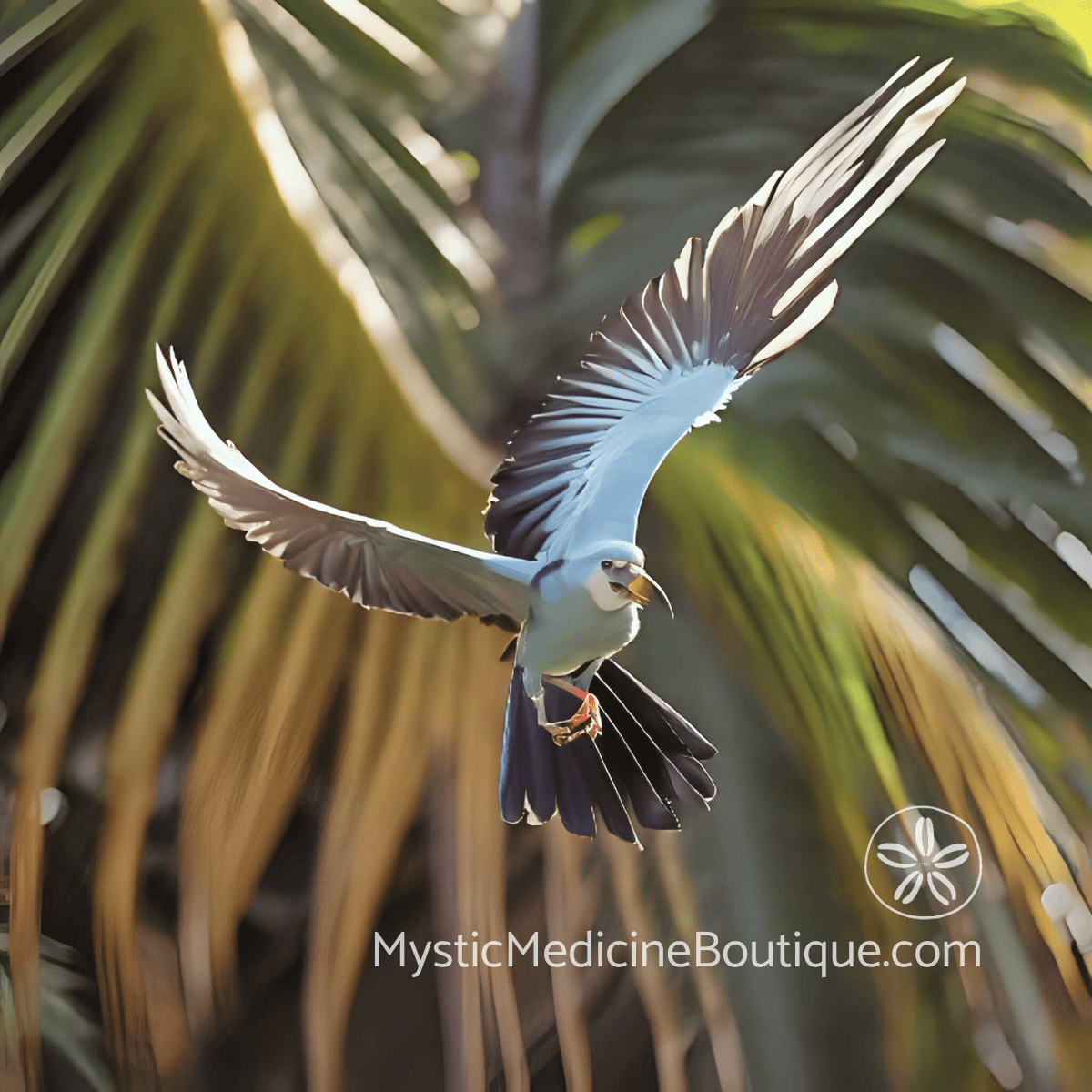 Blue parrot in flight through tropical palm fronds representing the breakthrough and disorientation of identity crisis after first launch success