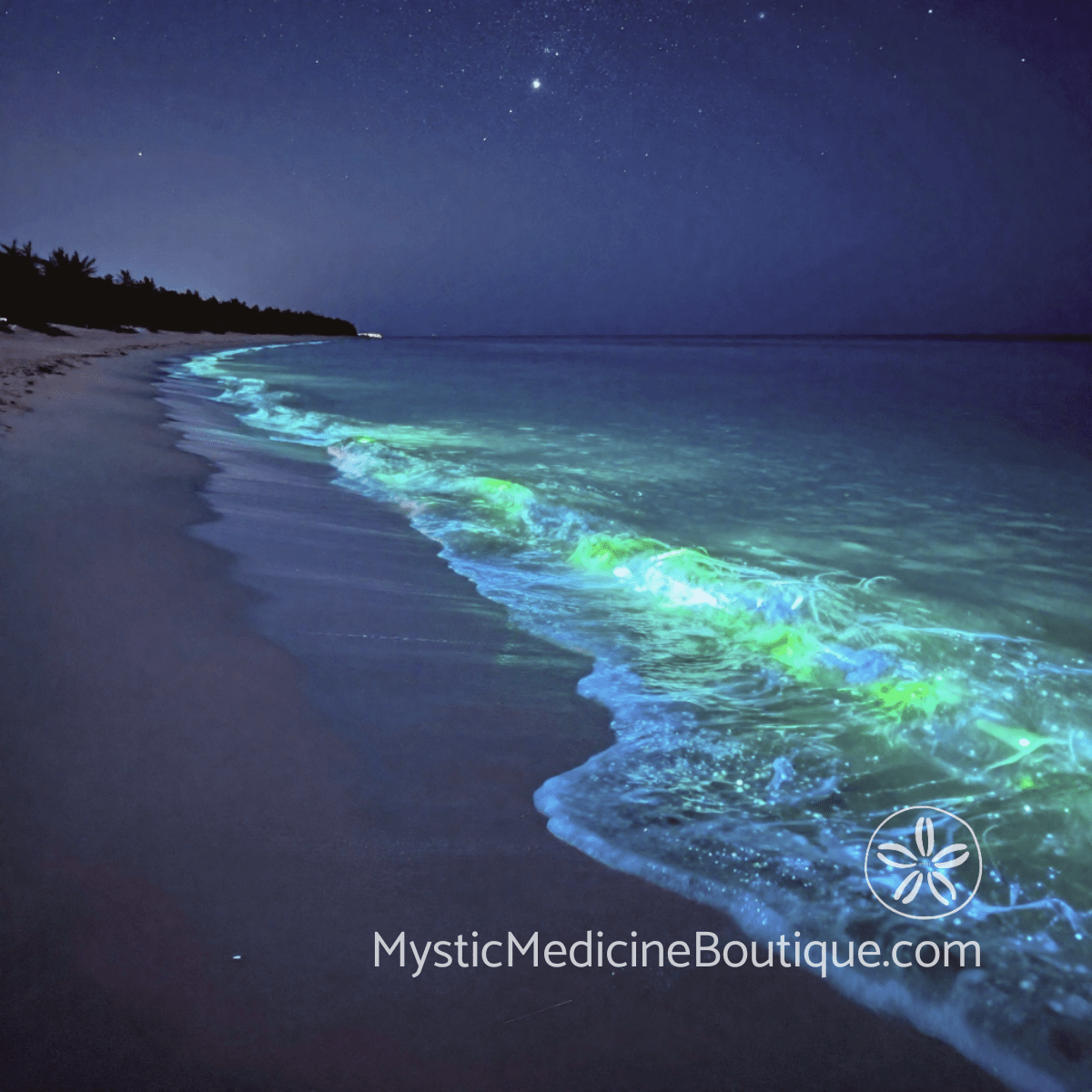 Bioluminescent beach at night representing why empaths attract energy vampires 