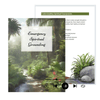 PDF Guide for 9-minute crisis meditation audio for spiritual grounding and emergency anxiety relief